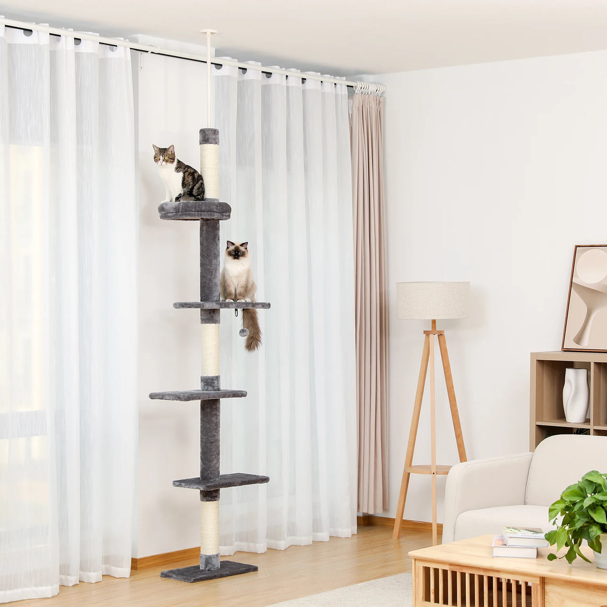 Arbre à chat sol au plafond bois — vu de trois quarts