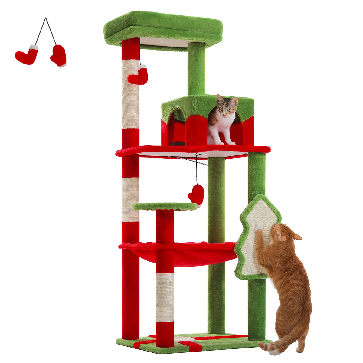 Arbre à chat rouge et vert — vue d'ensemble