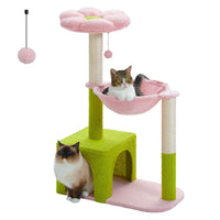 Arbre à chat fleur rose et vert — vue d'ensemble
