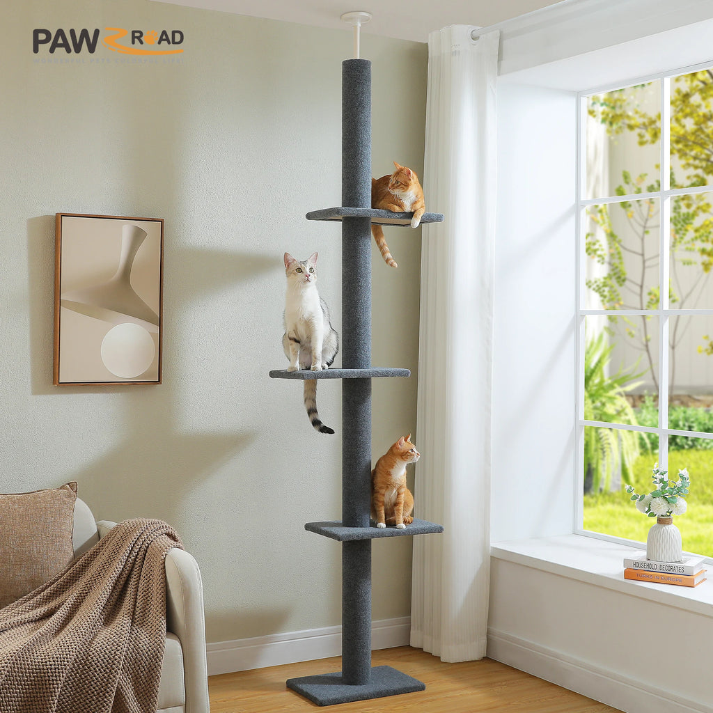 Arbre à chat sol au plafond bois — en situation dans un salon