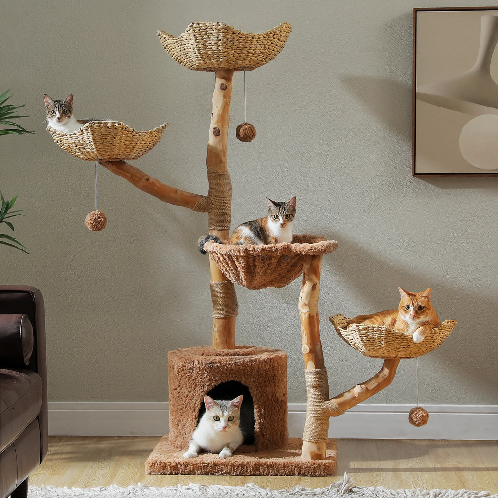 Arbre à chat bois et rotin brun — détail du hamac
