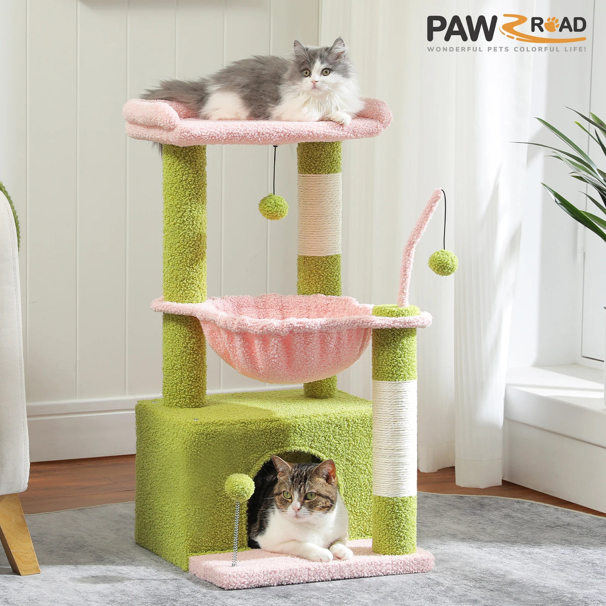 Petit arbre à chat rose et vert — vu de trois quarts
