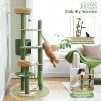 Arbre à chat cactus vert vert et beige poteau en sisal naturel