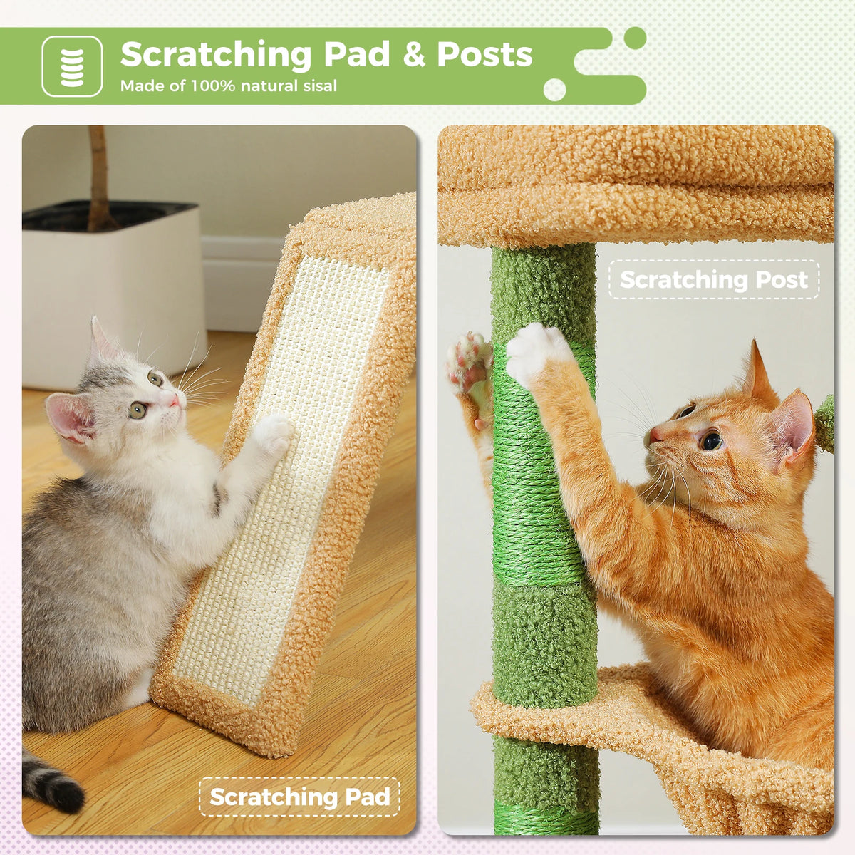 Petit arbre à chat rose — vu de trois quarts