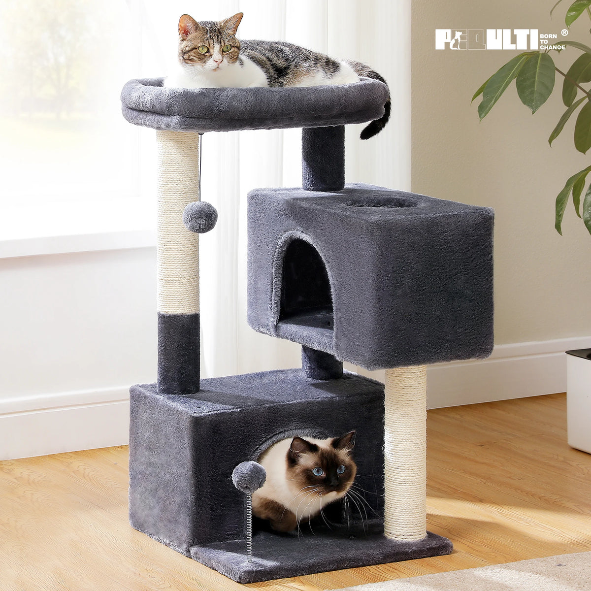 Arbre à chat rose et vert — vu de trois quarts