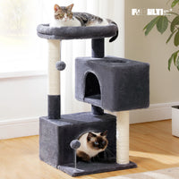 Arbre à chat rose et vert — vu de trois quarts