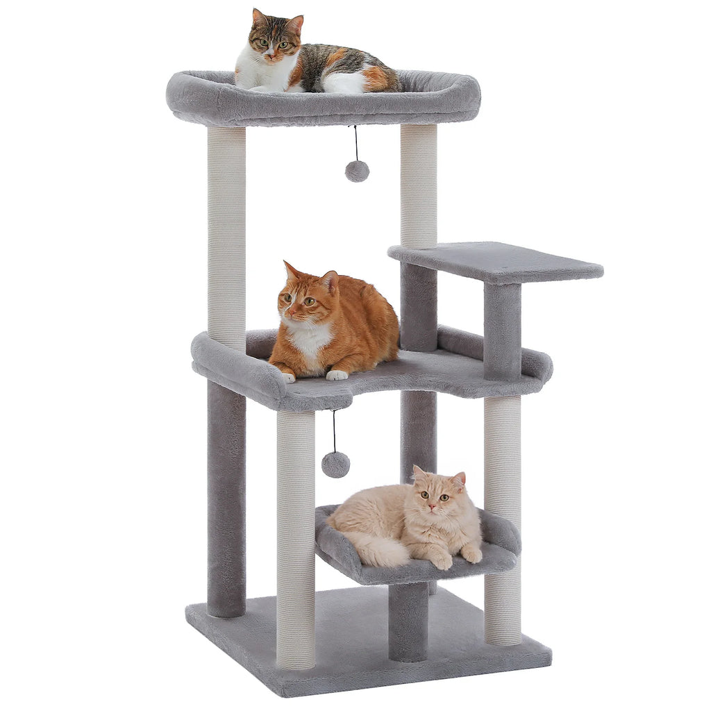 Arbre à chat gris d'angle — vue d'ensemble