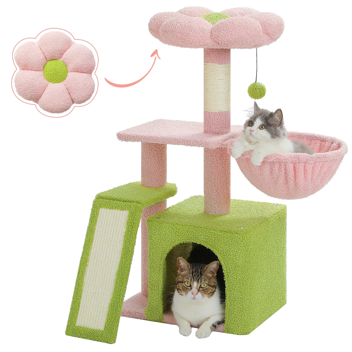 Arbre à chat cactus violet — dimensions