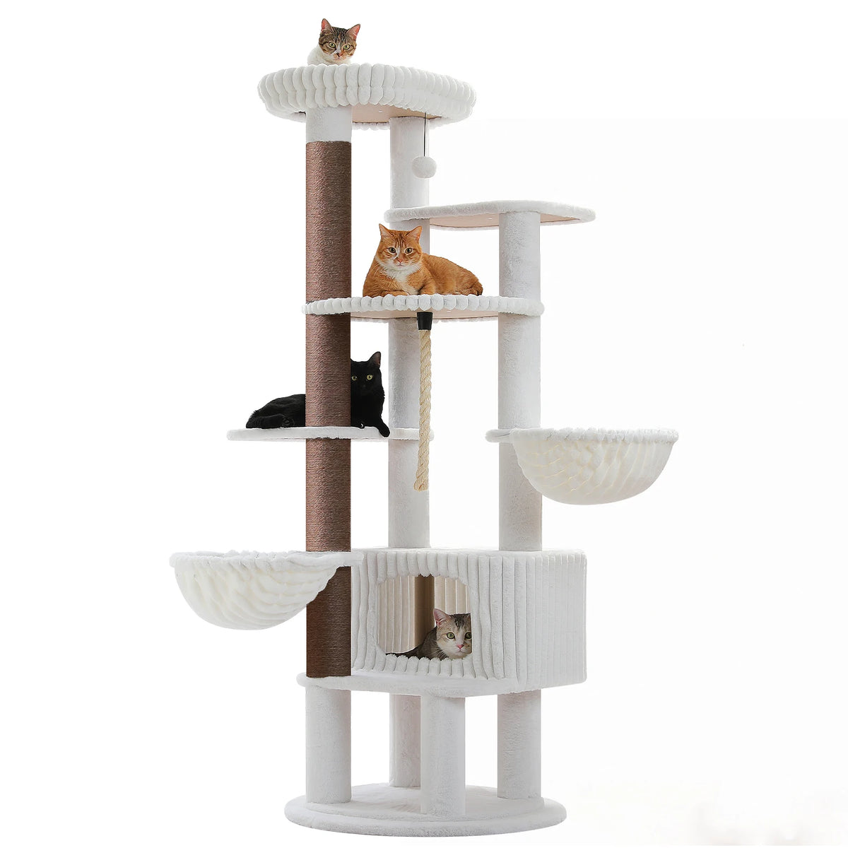 Arbre à Chat Gris Très Grande Taille — Titan