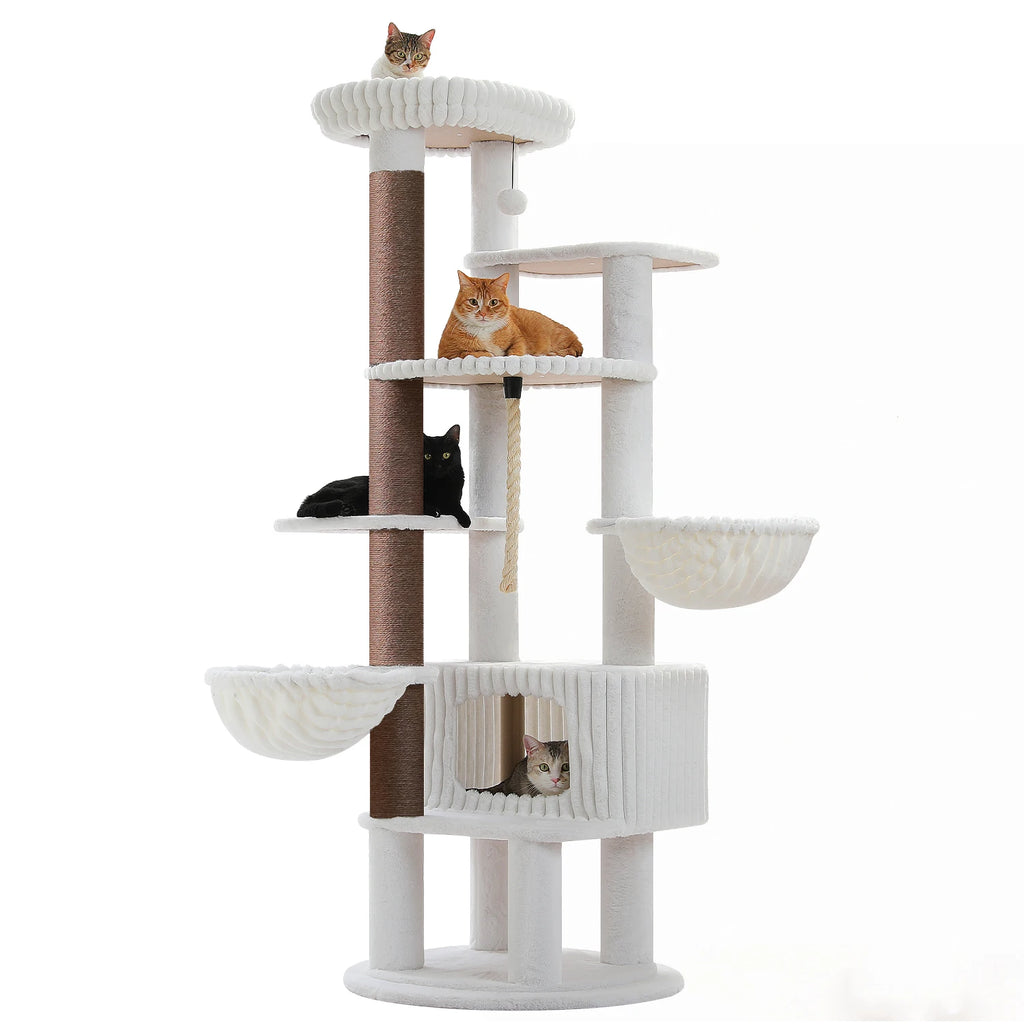 Arbre à Chat Géant pour Maine Coon — Colosse