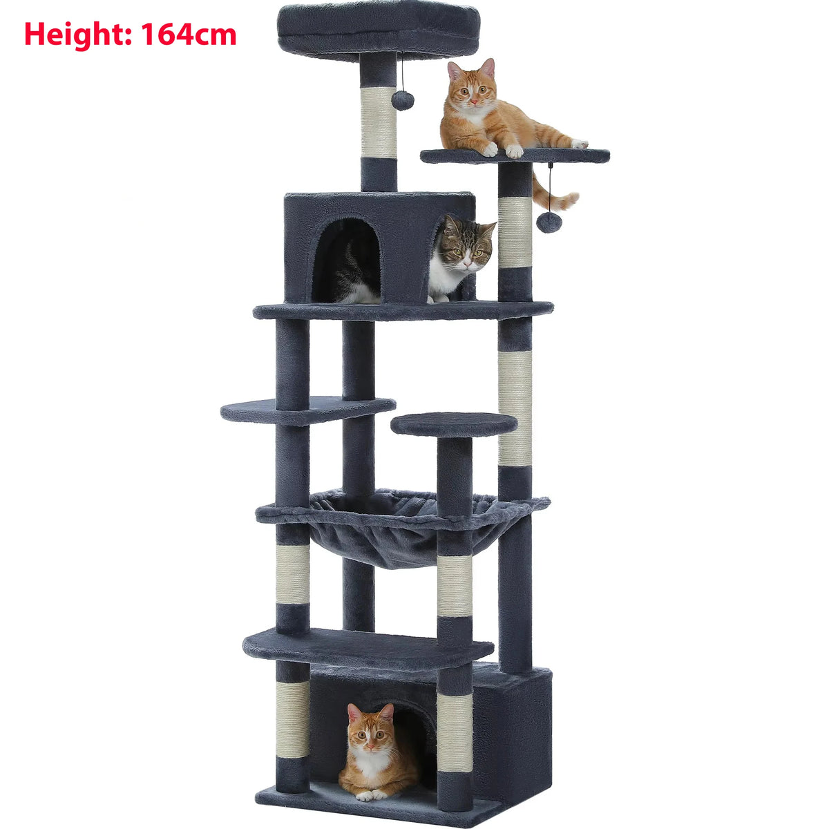 Arbre à Chat Noir avec Grande Niche — Corbeau