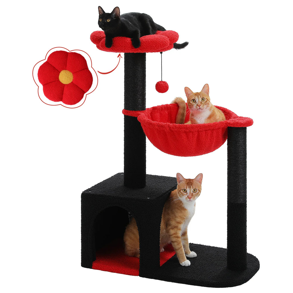 Arbre à chat fleur brun et vert — base de l'arbre à chat