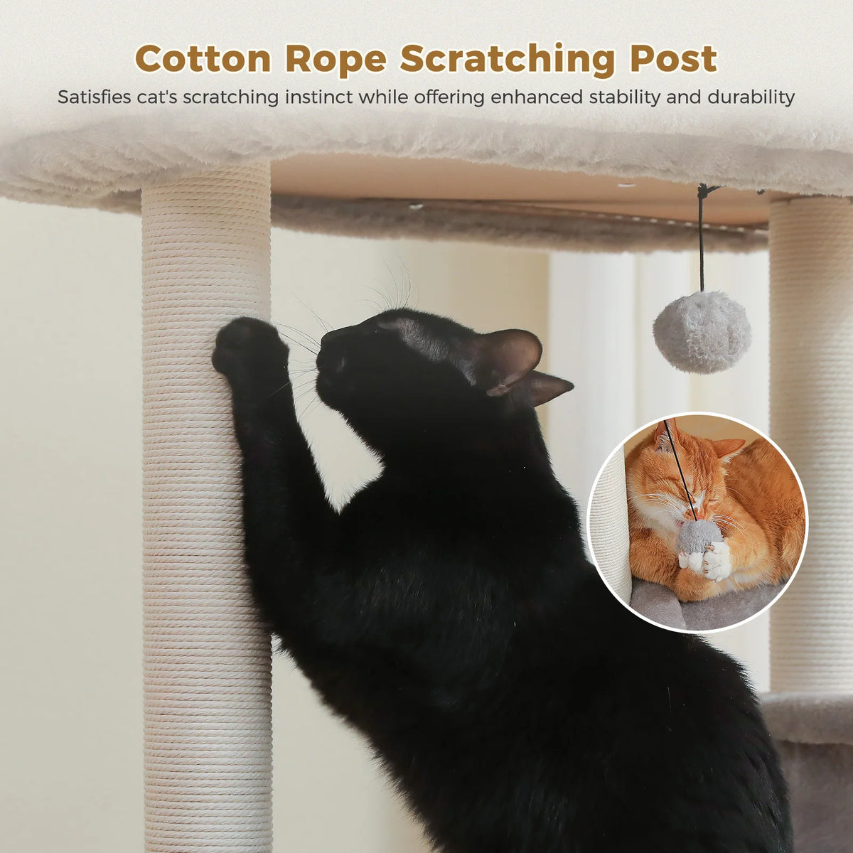 Arbre à chat gris d'angle — détail du hamac