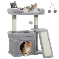 Petit arbre à chat vert — base de l'arbre à chat