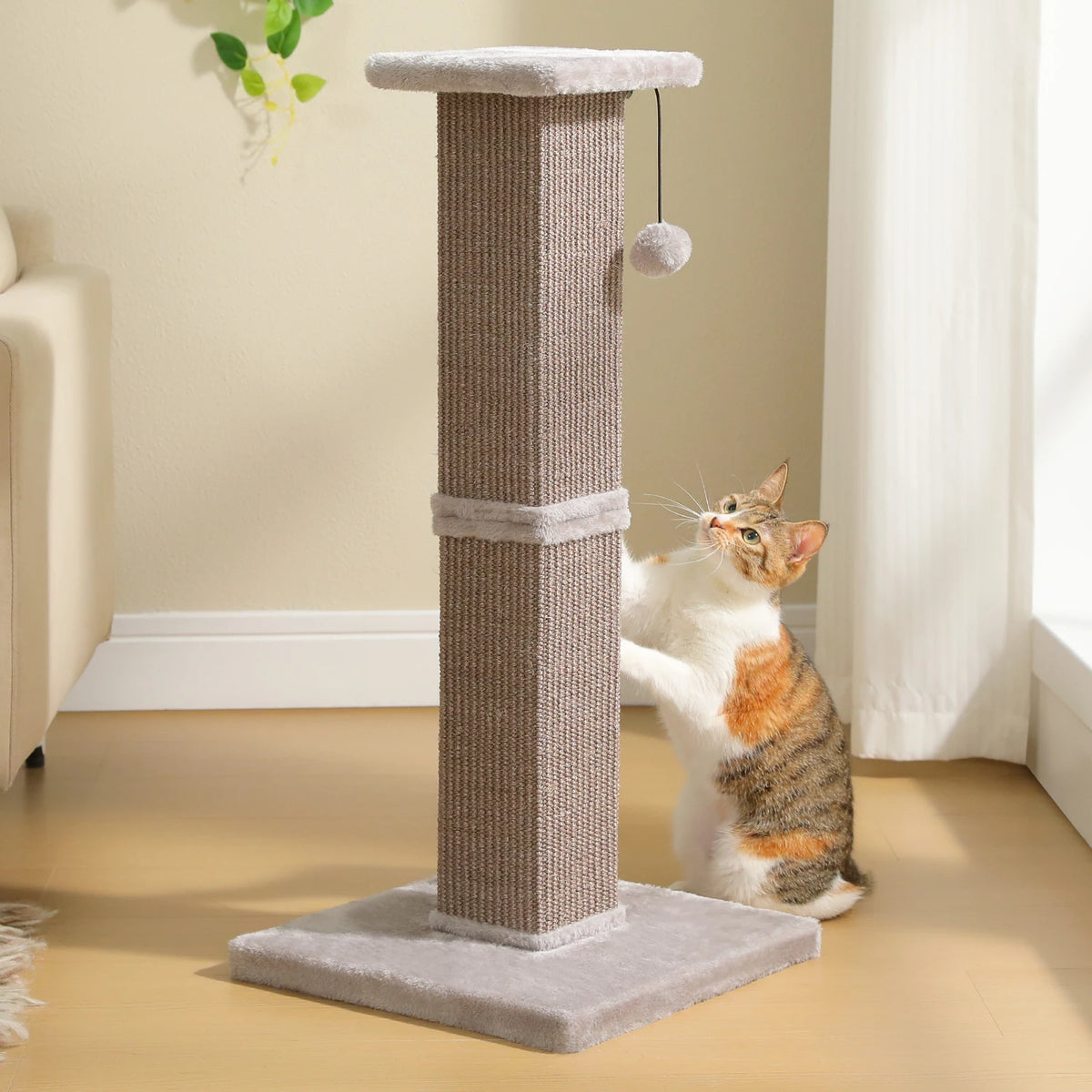 Grand Griffoir à Chat en Sisal — Obélisque