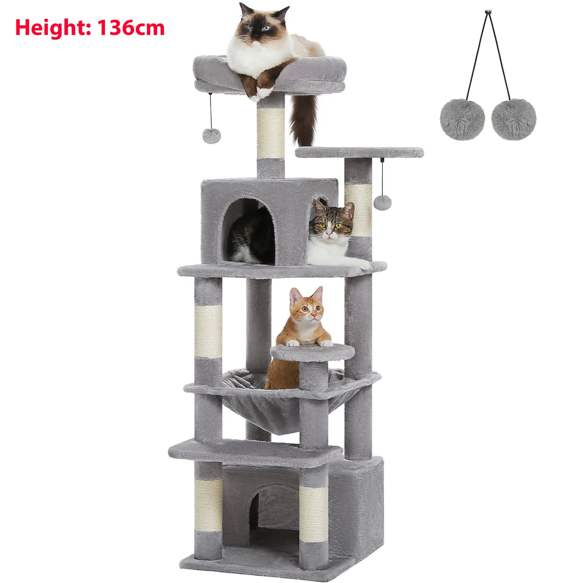 Arbre à Chat Vert pour Maine Coon — Lichen