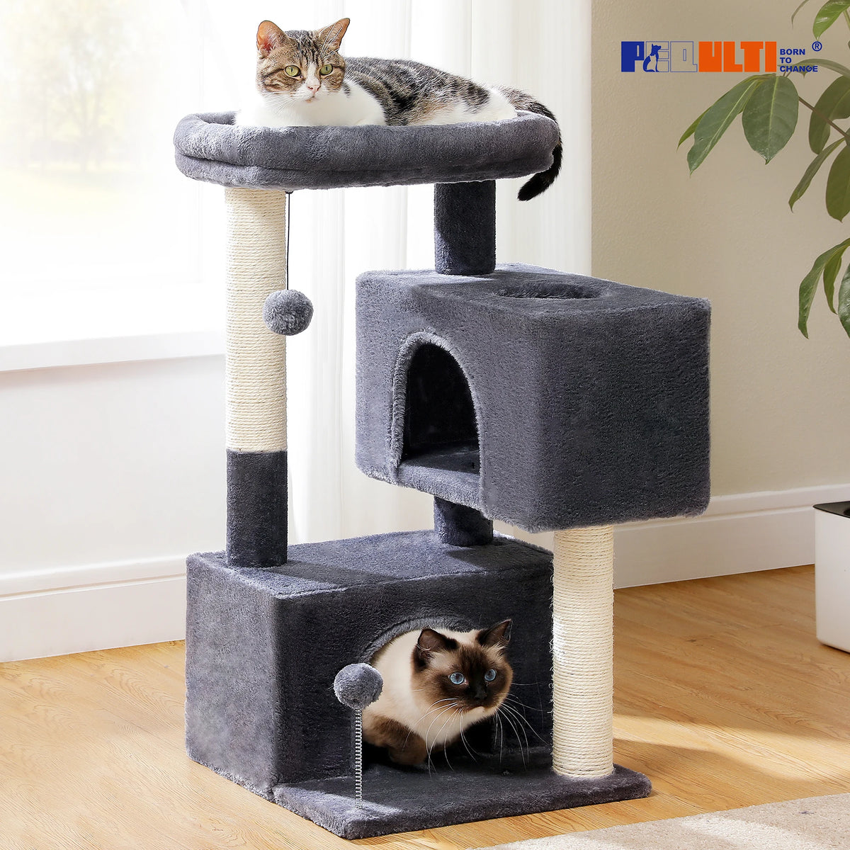 Petit arbre à chat anthracite — en situation dans un salon