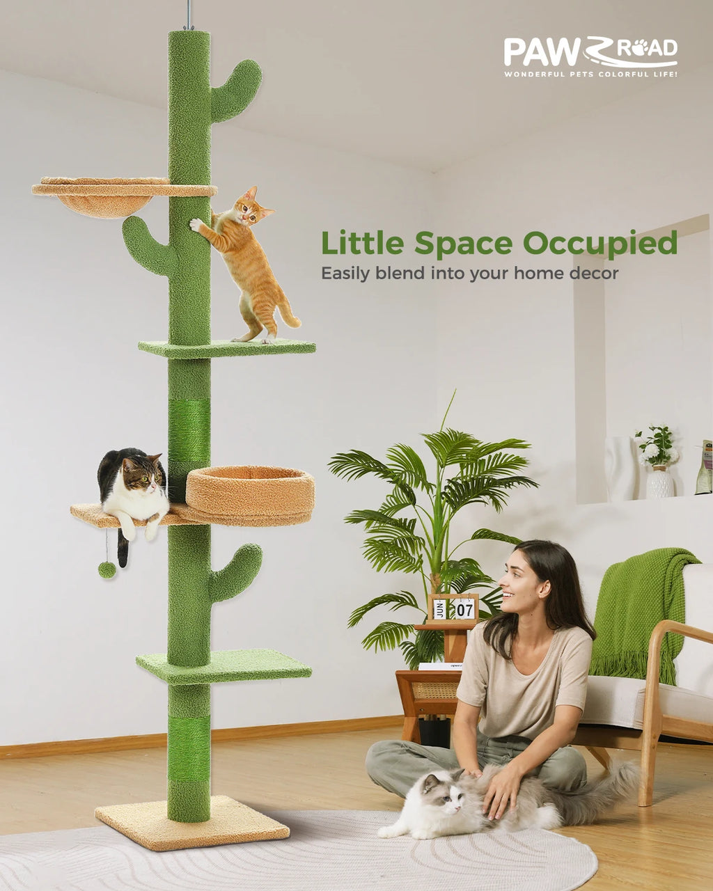 Arbre à chat cactus sol au plafond — détail de la niche