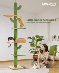 Arbre à chat cactus sol au plafond — détail de la niche