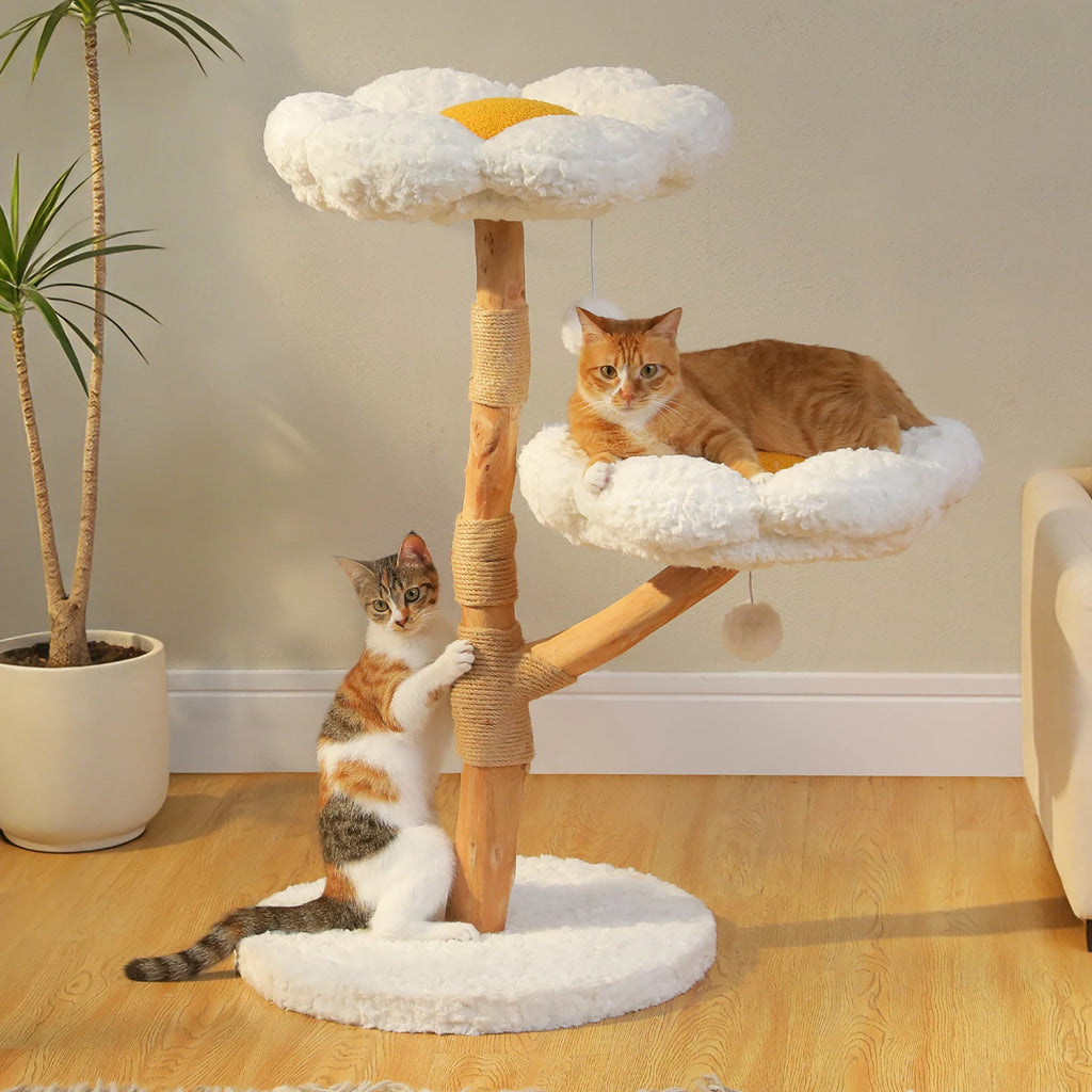 Arbre à chat bois brun vu de trois quarts