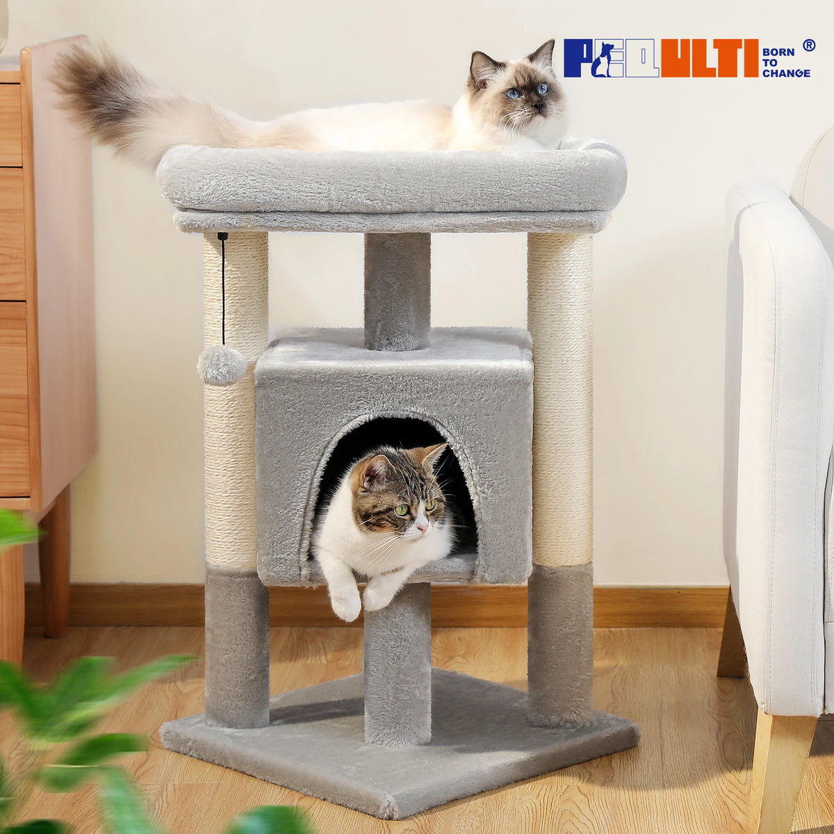 Petit arbre à chat beige 60 cm — détail du hamac