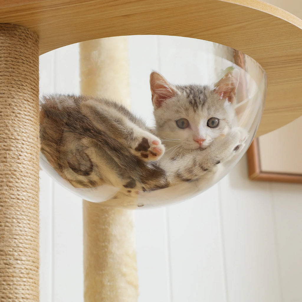 Arbre à chat en bois 144 cm — détail de la niche