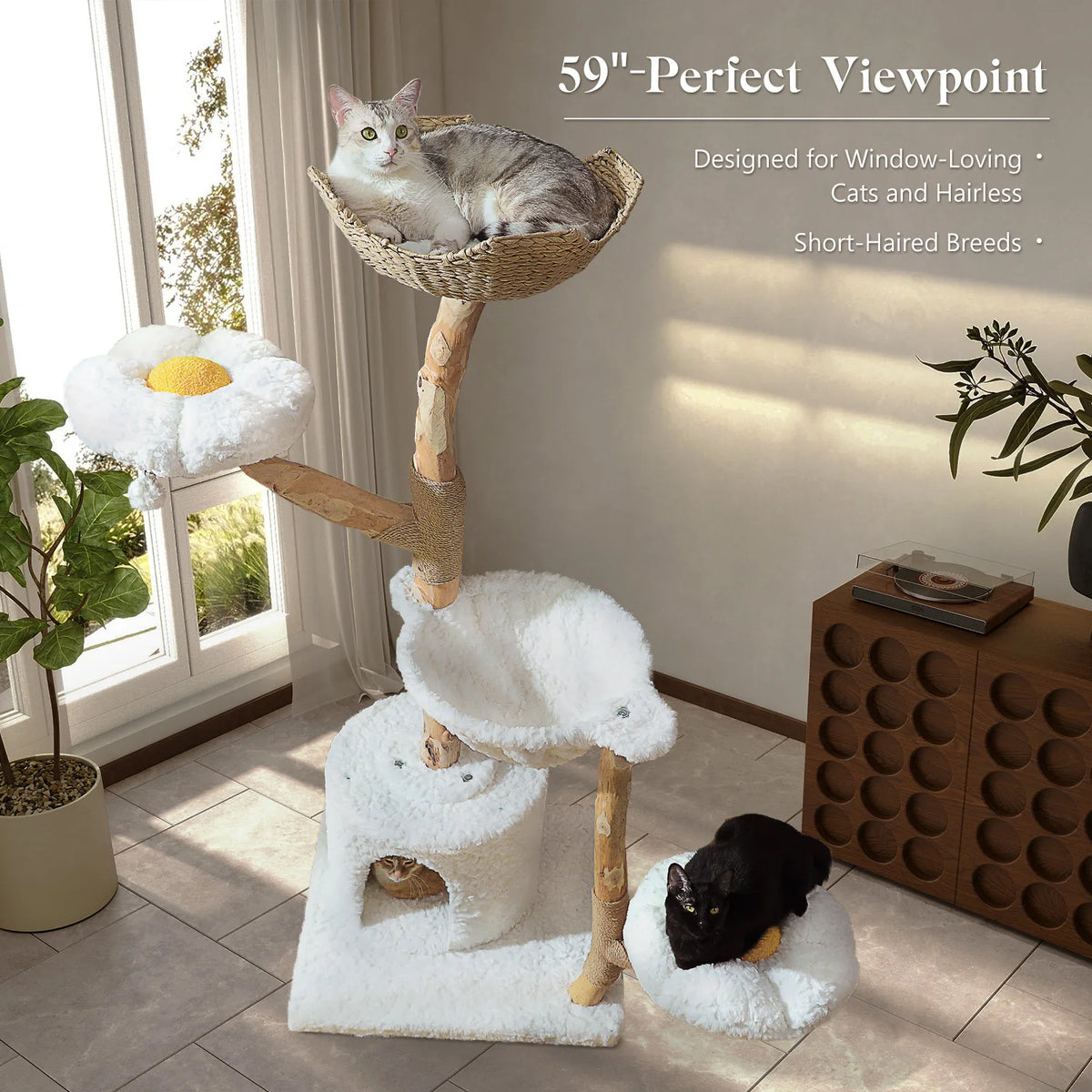 Arbre à chat bois et rotin brun — détail de la niche