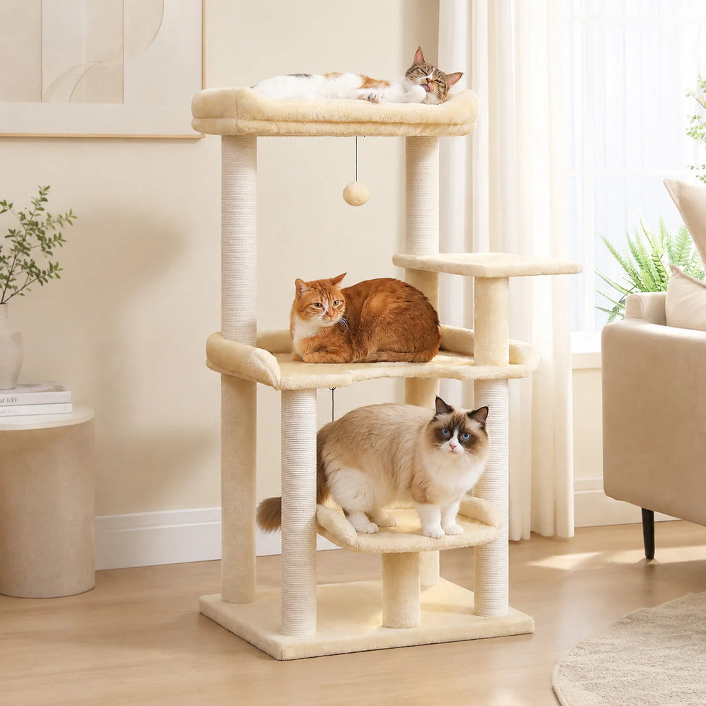 Arbre à chat gris d'angle — base de l'arbre à chat