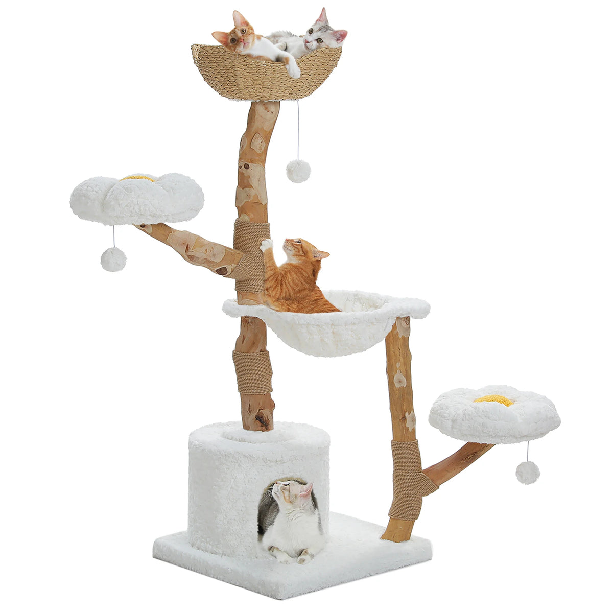 Arbre à chat bois et rotin brun — dimensions