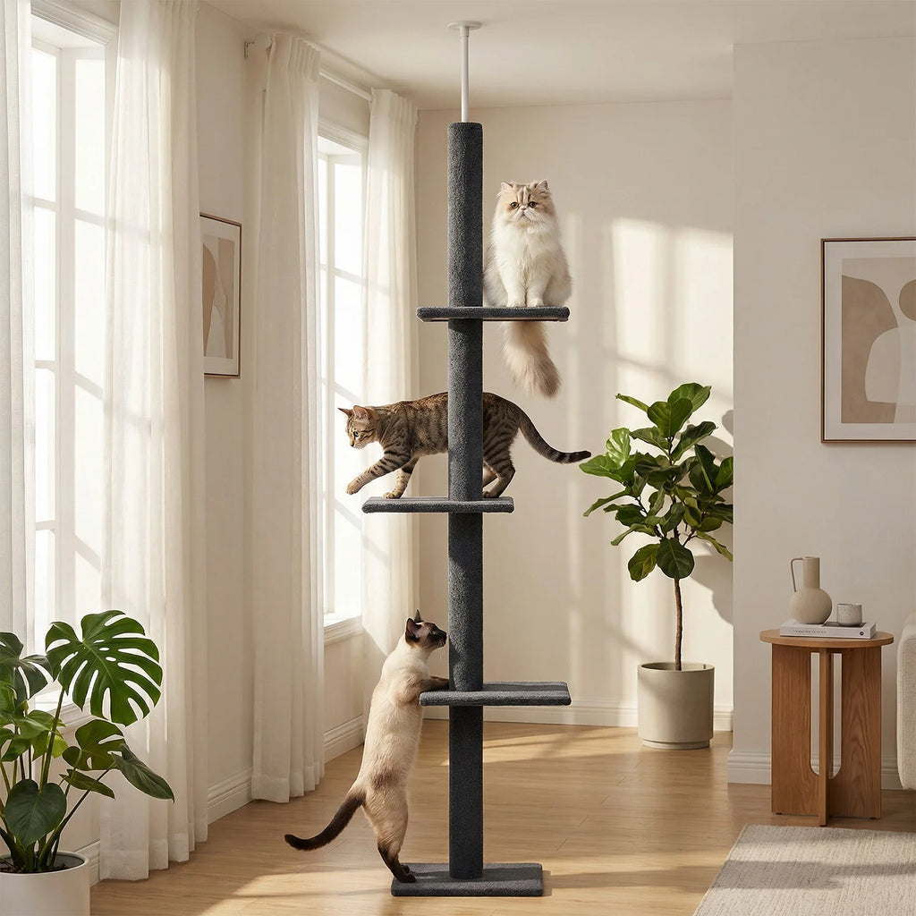 Arbre à chat sol au plafond bois — détail du couchage haut