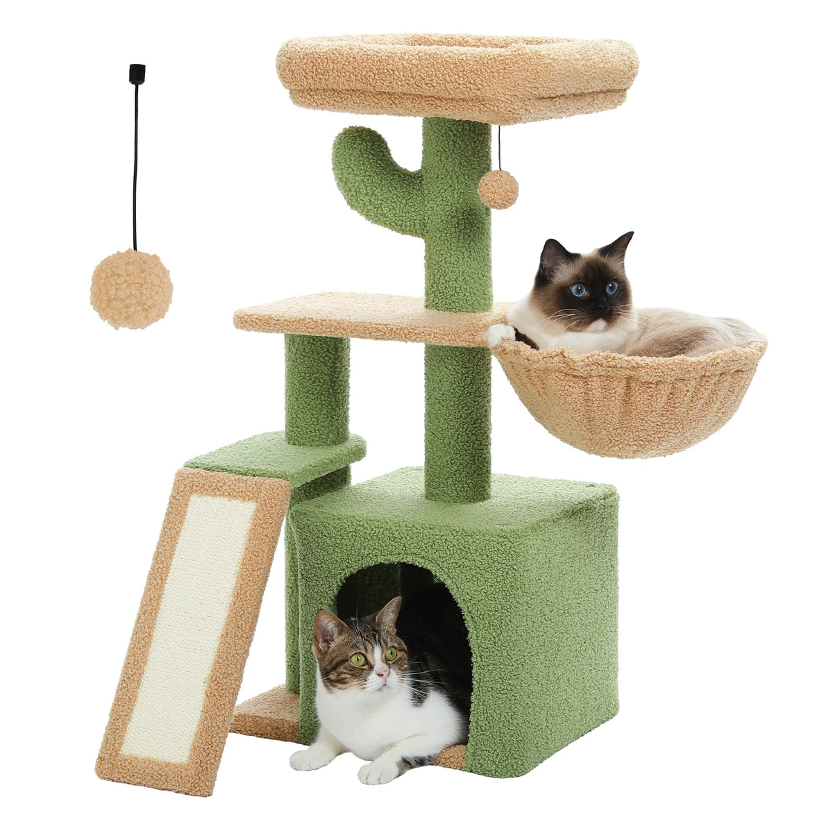 Arbre à chat cactus vert et beige — vue d'ensemble
