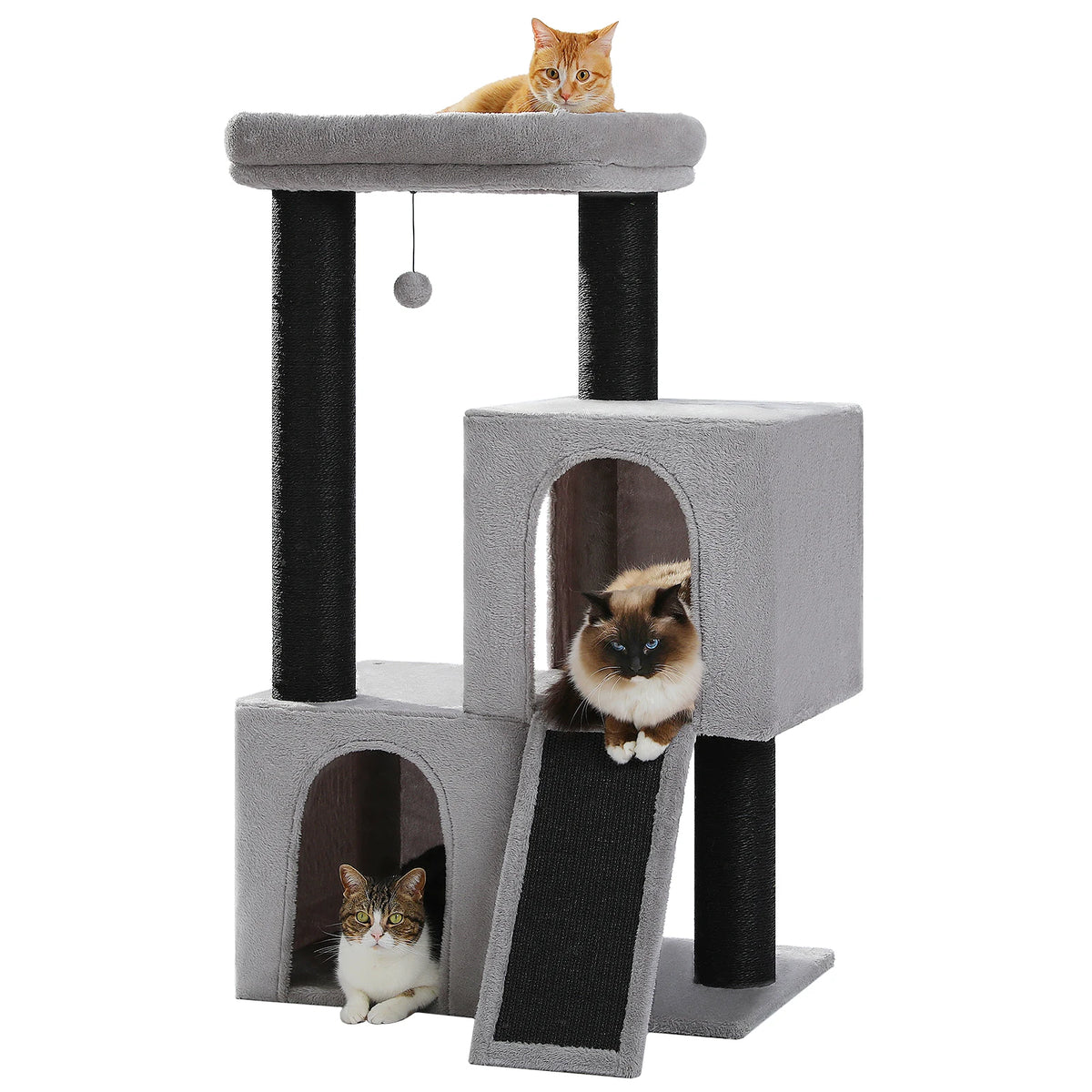Arbre à chat beige gros chat — base de l'arbre à chat