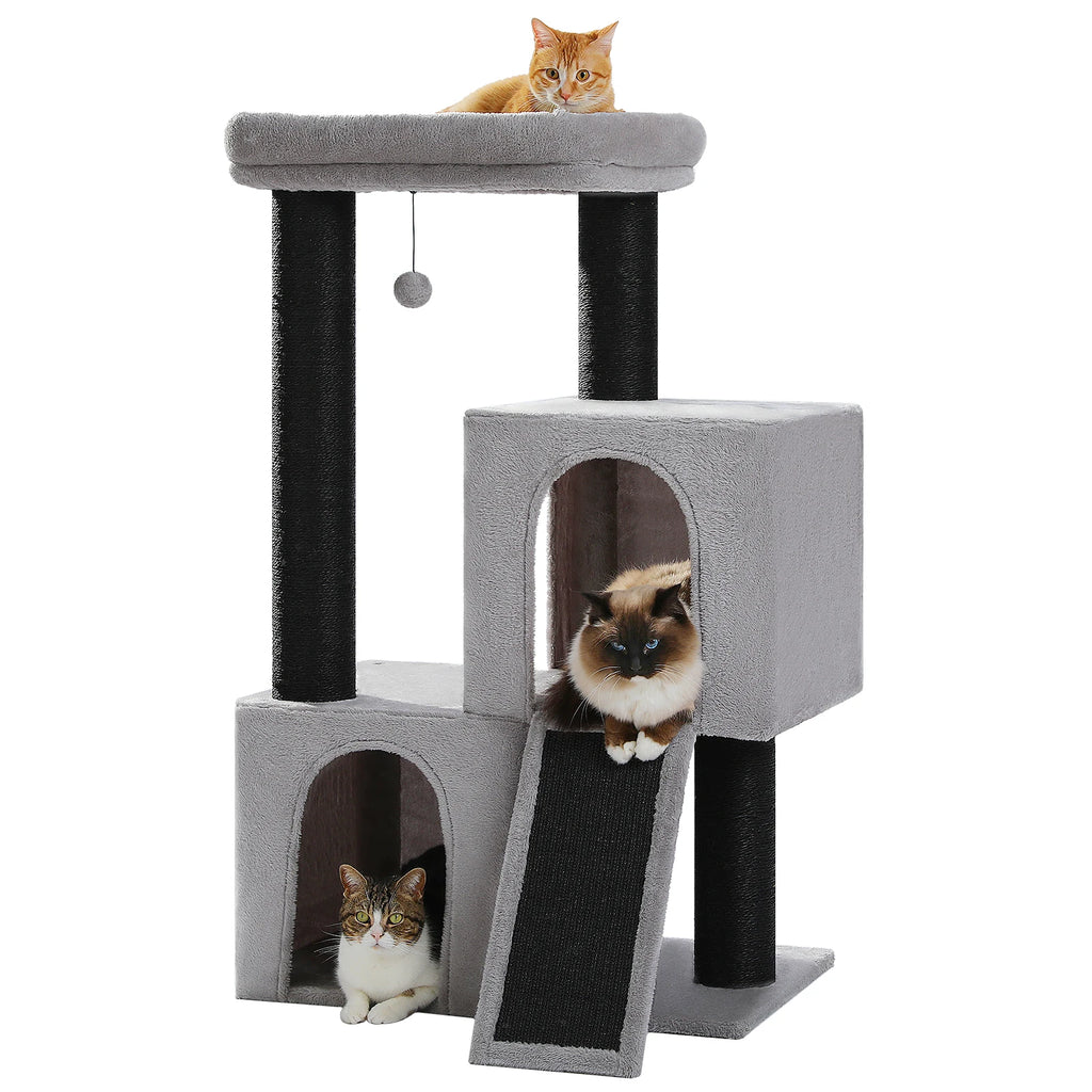 Arbre à chat noir et gris — vue d'ensemble