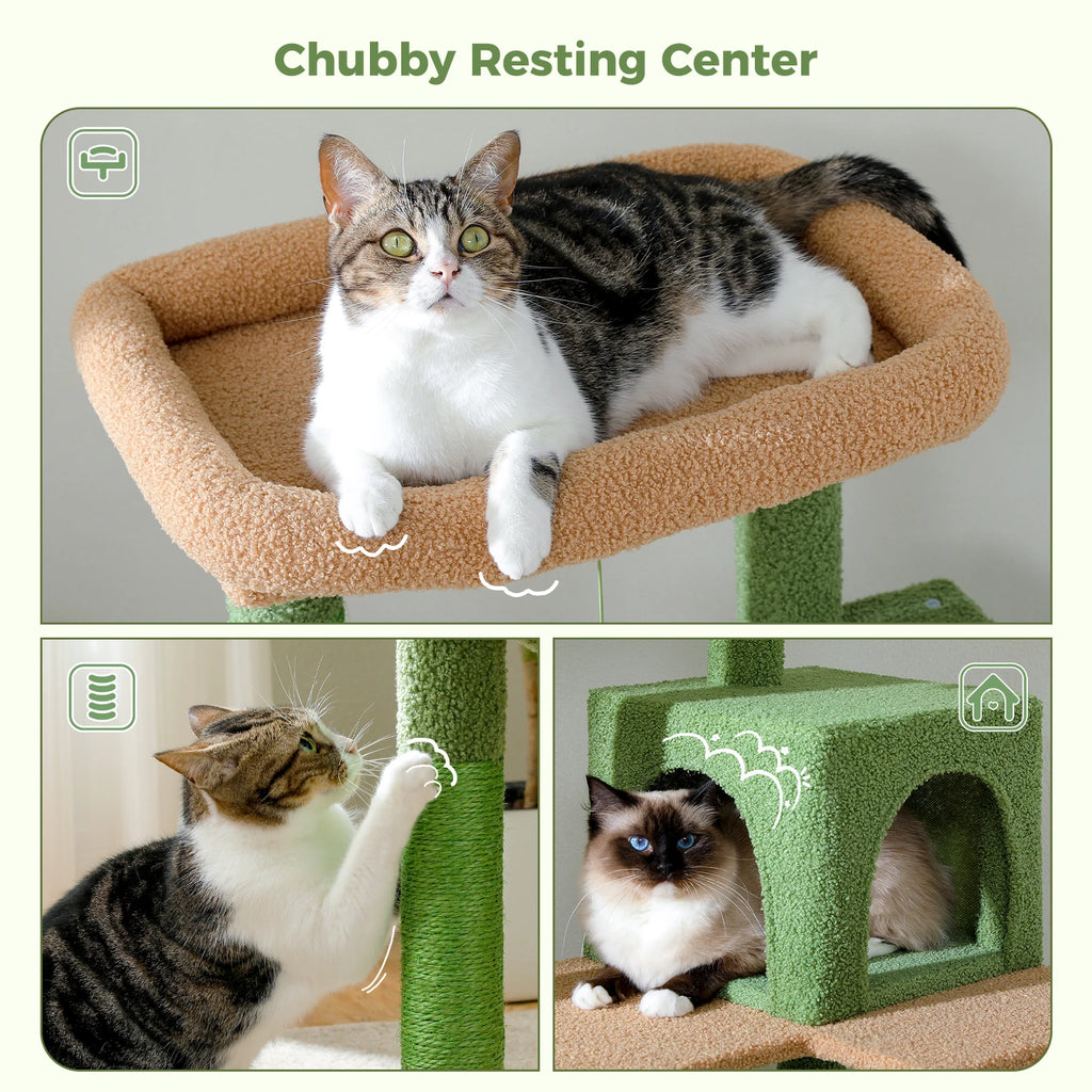 Arbre à chat cactus 6 niveaux — détail du couchage haut