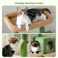 Arbre à chat cactus 6 niveaux — détail du couchage haut