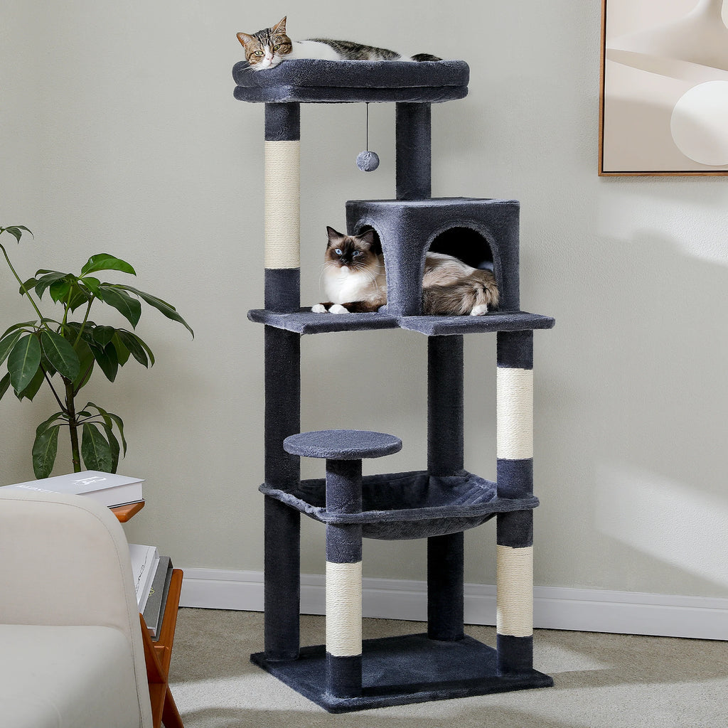 Arbre à chat rouge et vert — détail de la niche