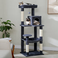 Arbre à chat rouge et vert — détail de la niche
