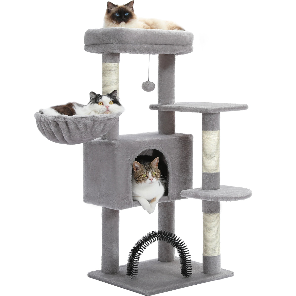Arbre à chat vert — dimensions