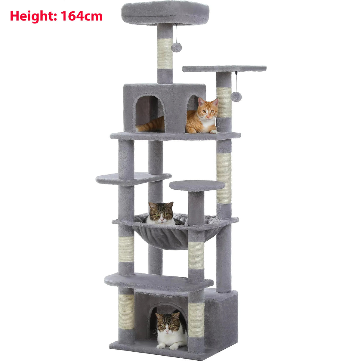 Arbre à Chat Gris Grande Taille — Sommet