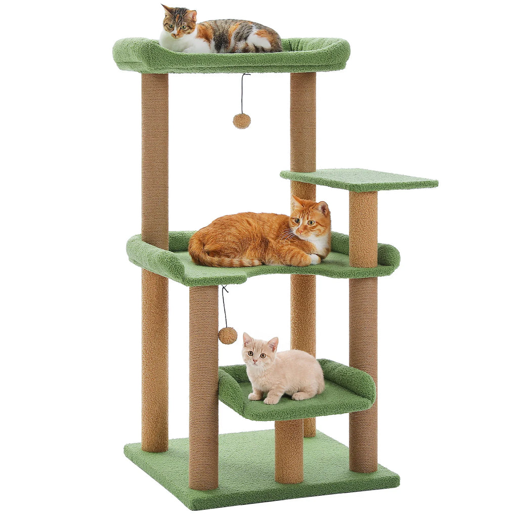 Arbre à chat vert d'angle — vue d'ensemble