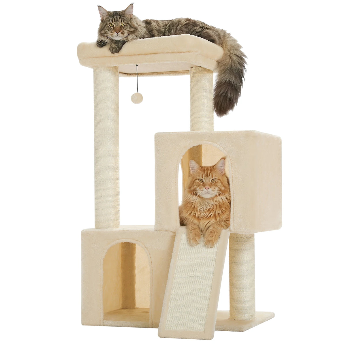 Arbre à chat noir et gris — base de l'arbre à chat