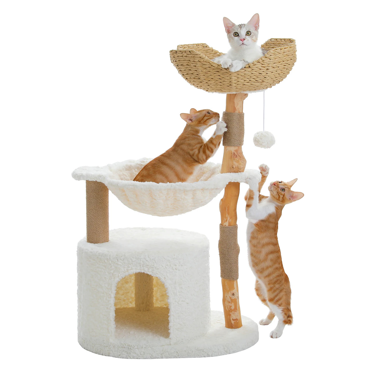 Arbre à chat bois et rotin brun brun dimensions de l'arbre à chat