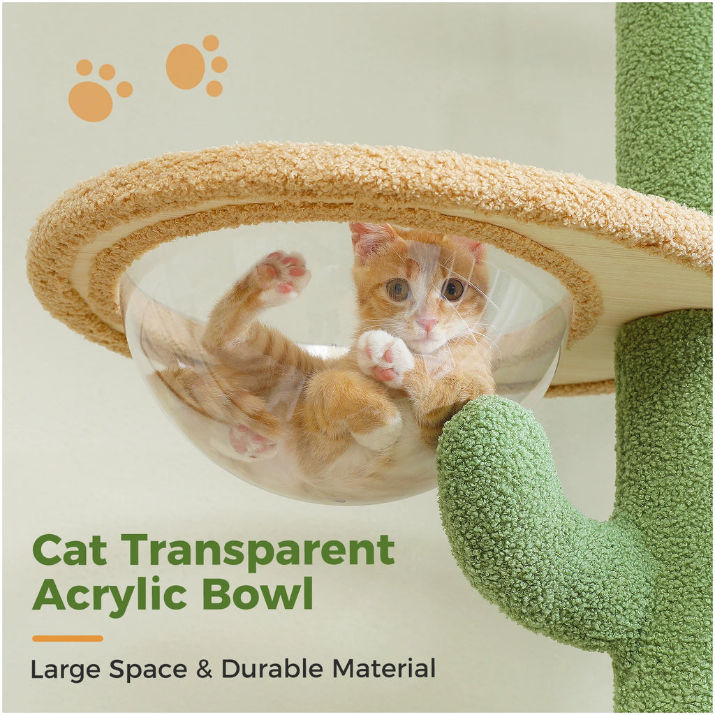 Arbre à chat cactus sol au plafond — détail du couchage haut