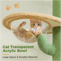 Arbre à chat cactus sol au plafond — détail du couchage haut