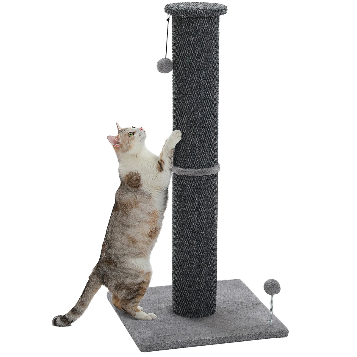 Griffoir chat 82 cm sisal — vue d'ensemble