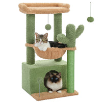 Petit arbre à chat cactus vert — vue d'ensemble