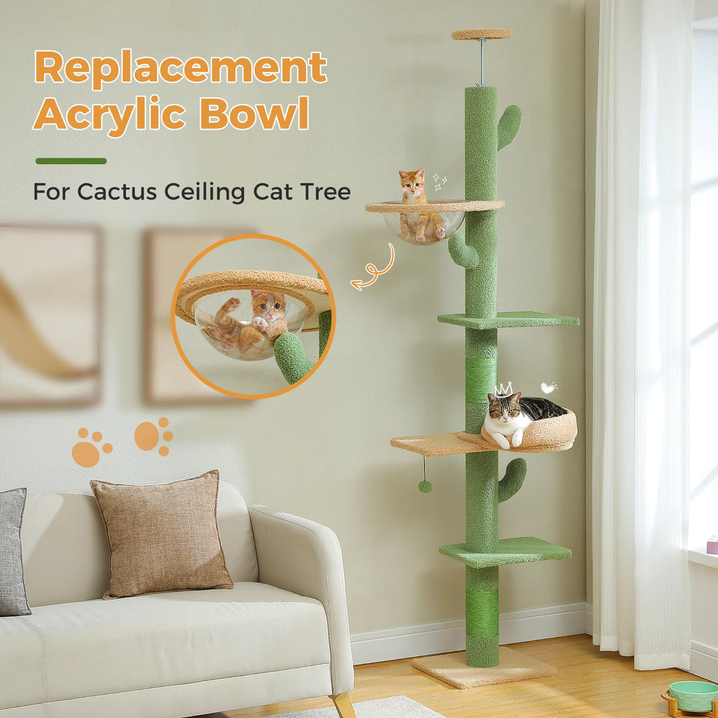 Arbre à chat cactus sol au plafond — vue d'ensemble