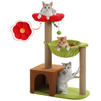 Arbre à chat fleur brun et vert — vue d'ensemble