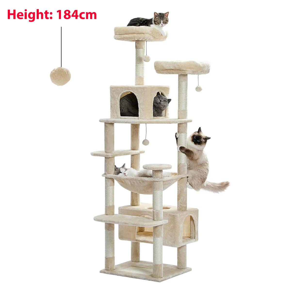 Arbre à Chat Noir avec Grande Niche — Corbeau