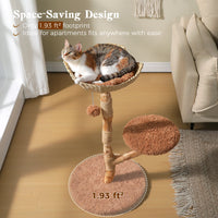Arbre à chat bois brun dans un salon
